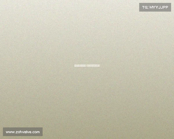 日本老年电子竞技-日本老年人玩游戏机